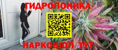 МДПВ Донецк