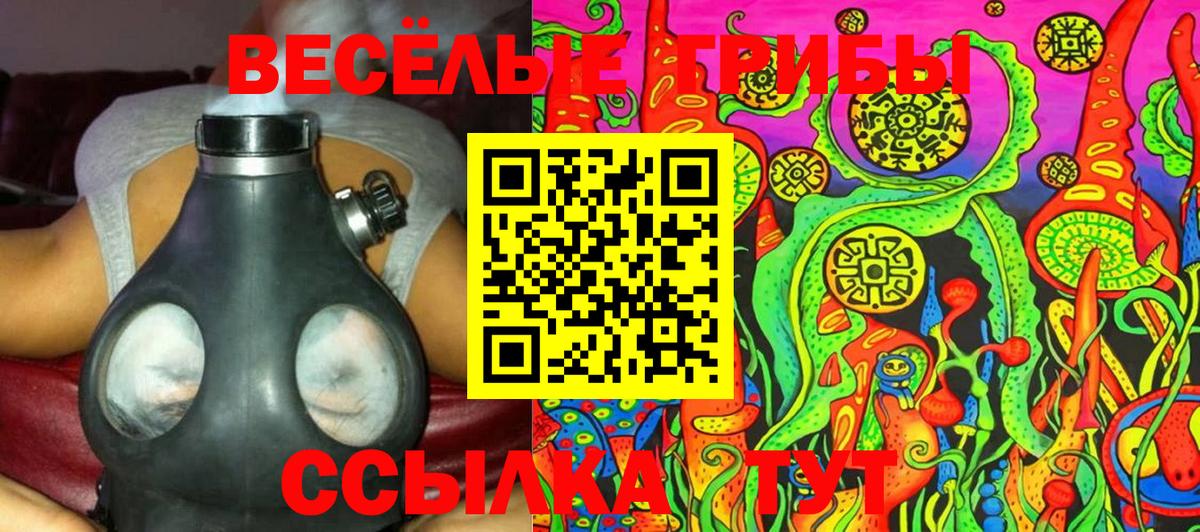 Галлюциногенные грибы Magic Shrooms  Вход с VPN  Луга  Галлюциногенные грибы GOLDEN TEACHER 